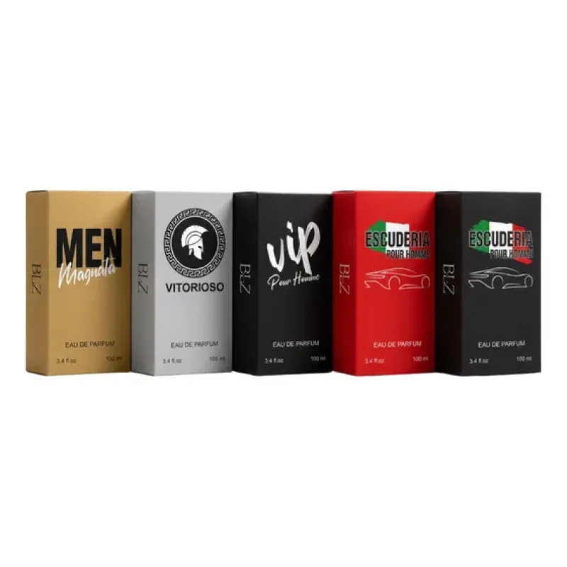 Kit 05 Perfumes Masculinos Referência Importada 100ml