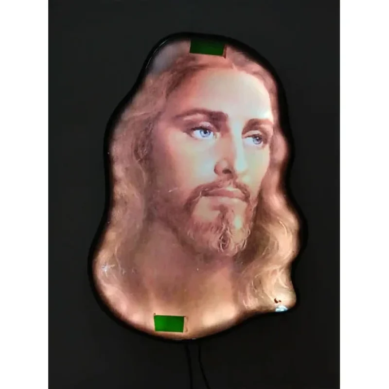 luminoso led neon corujinha
